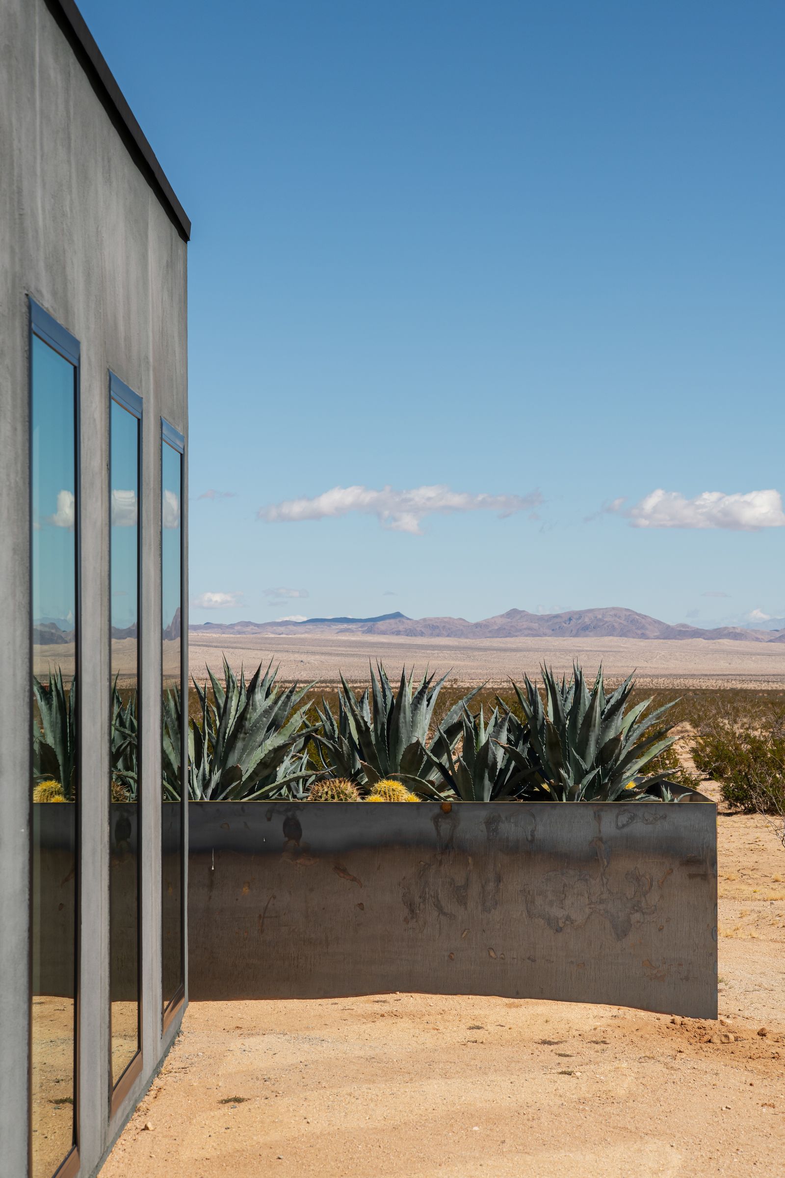 Agave planters against the glass
